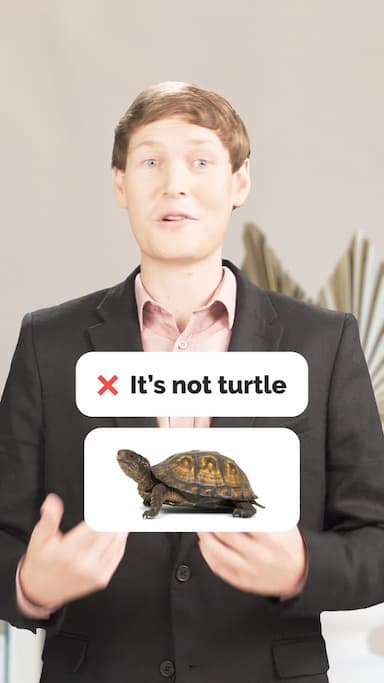 turtle-vs-tortoise