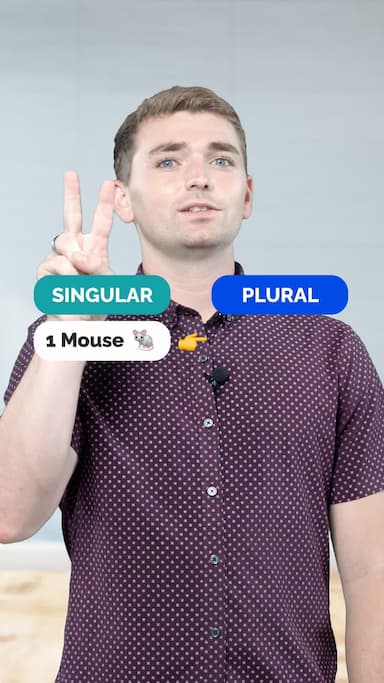 animal-irregular-plurals