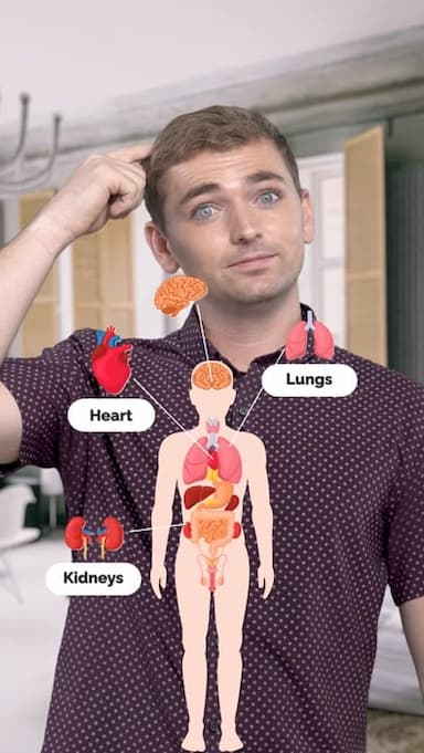 human-organs-2