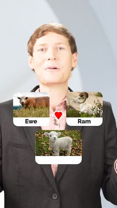 animals-children-2