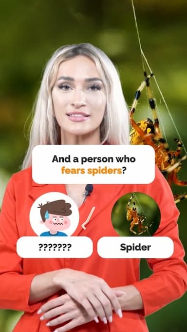 insect-phobias