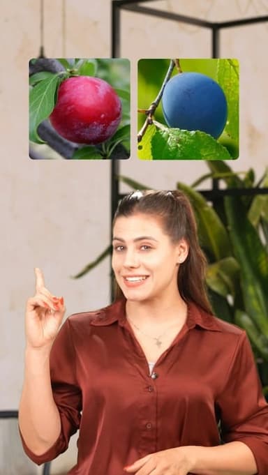 similar-fruits