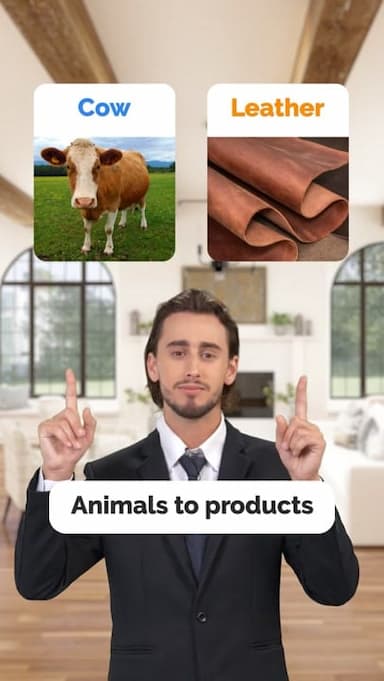 animals-to-products