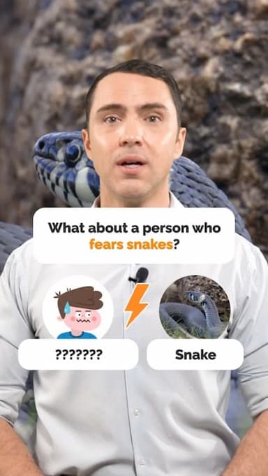 animal-phobias