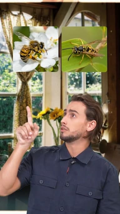 similar-insects